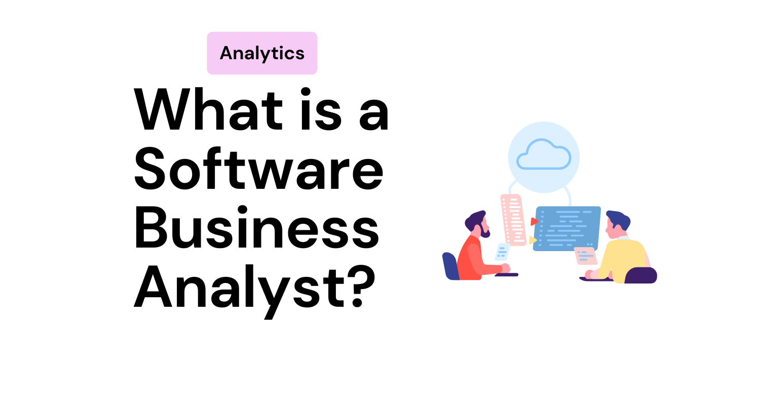 What Is Software Business Analyst